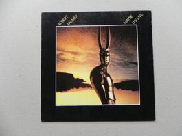 LP brit. Pop Musiker Robert Palmer 1982 Maybe it`s Live